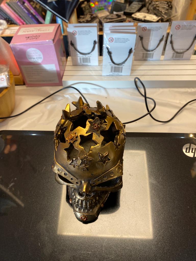 Bronze Steampunk Skull