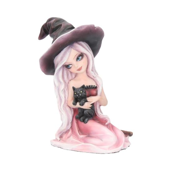Rosa Figurine Witch Black Cat