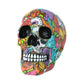 Calypso Graphic Art Printed Skull