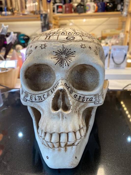 Astrological Skull