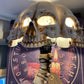 Atrocity Natural Bone Skull and Spine Lamp