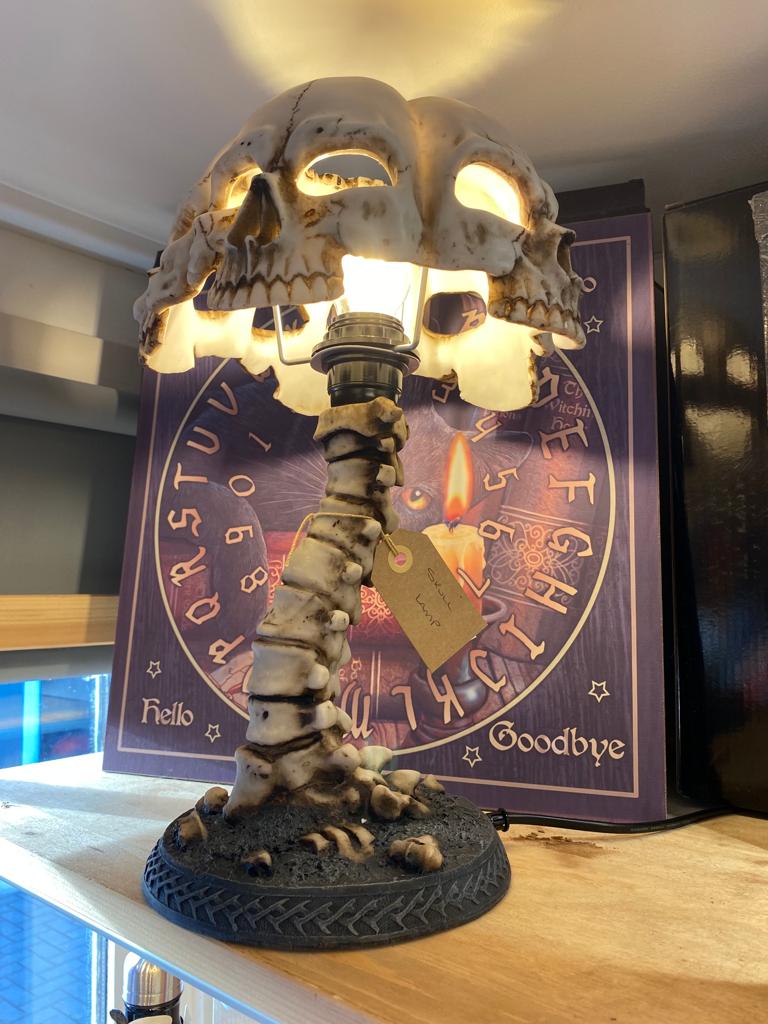 Atrocity Natural Bone Skull and Spine Lamp