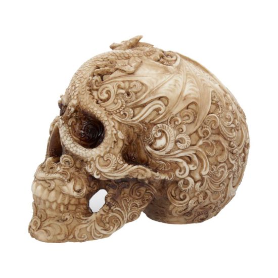 Cranial Drakos Skull