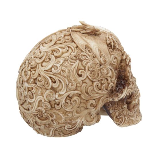 Cranial Drakos Skull